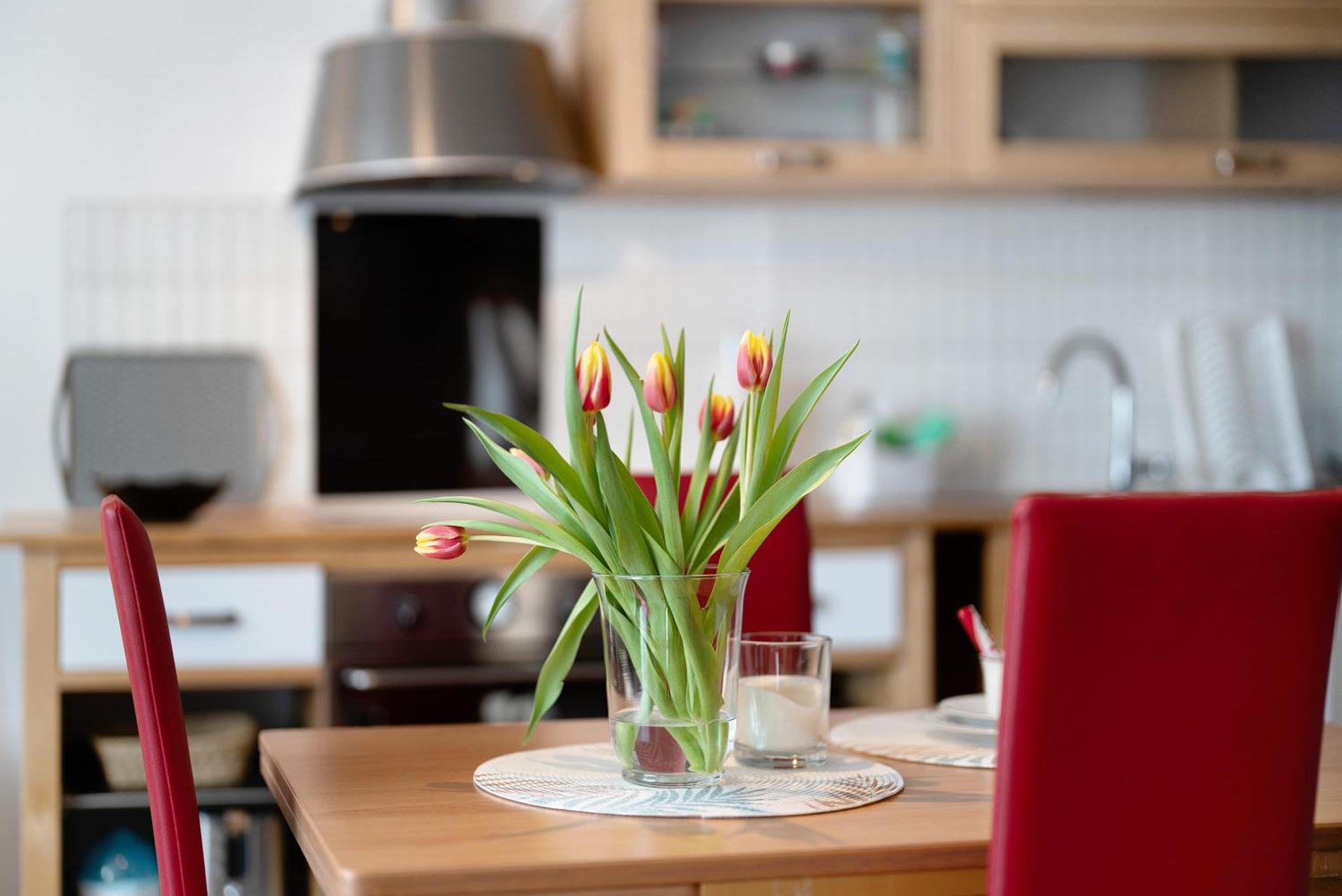 Alexander Feiss Apartment Schonach im Schwarzwald Ngoại thất bức ảnh