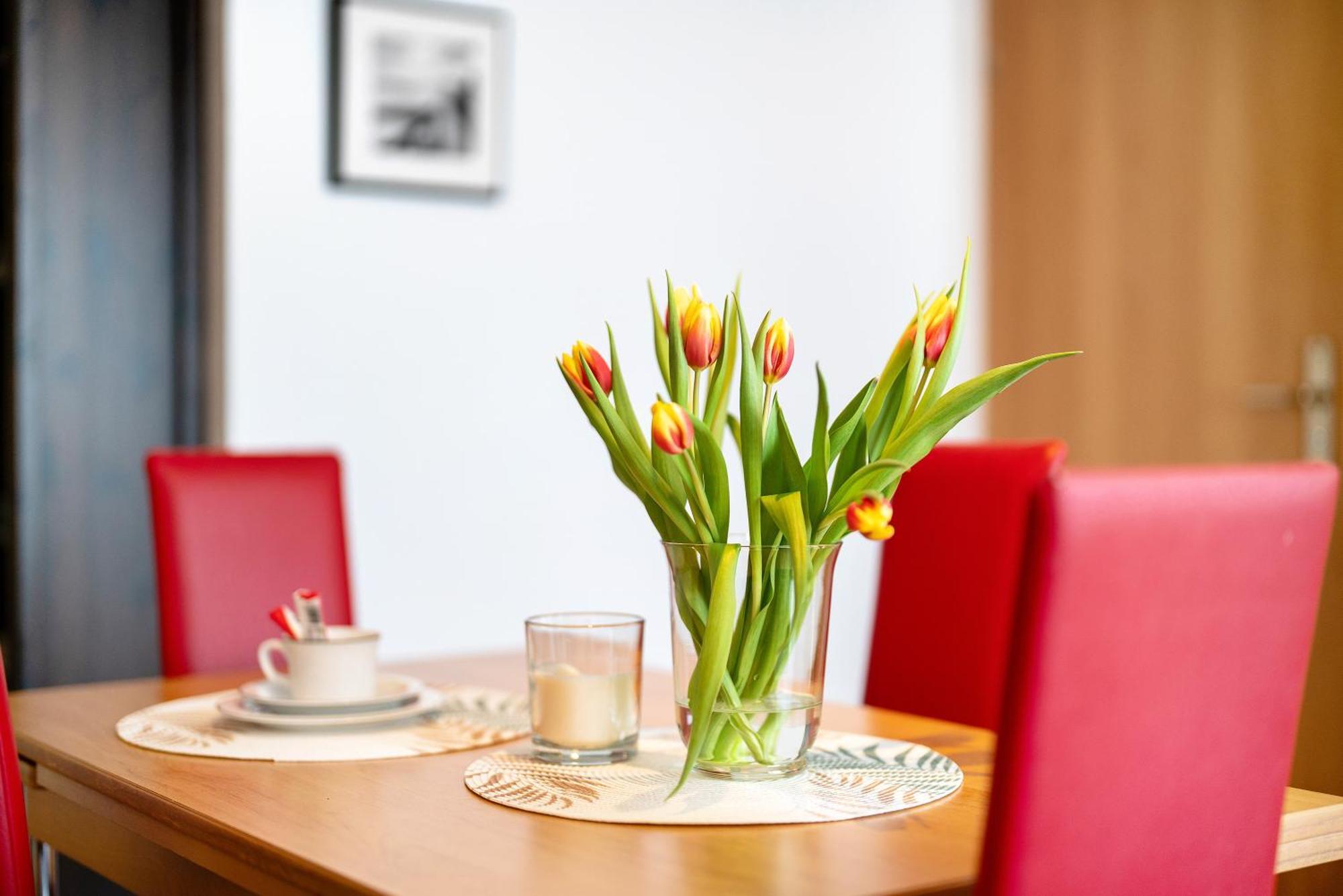 Alexander Feiss Apartment Schonach im Schwarzwald Ngoại thất bức ảnh